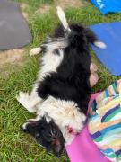 Top San José del Cabo