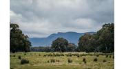 Northern Grampians Hideaway by Tiny Away