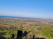 Top Castagneto Carducci Top Castagneto Carducci