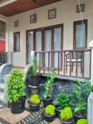 Top Amed