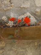 Autenticum Agriturismo Tolfa