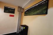 Top Cameron Highlands