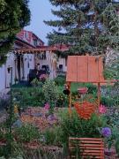 Top Csongrád Top Csongrád