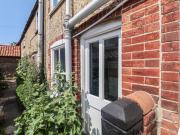 Delphinium Delphinium