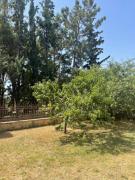 Persephone Apartment Potidea