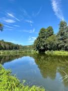 Moderne gemütliche Wohnung - zentral und naturnah