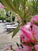 Guesthouse Le Mas de Cotignac