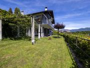 Top Trarego Viggiona