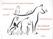 Top Saint-Géron Top Saint-Géron