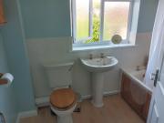 Swn Y Gwy ~ The Sound of the Wye