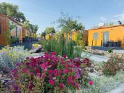 Top Sendim Top Sendim