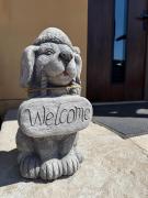 Top Stronie Śląskie