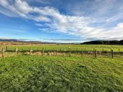Top Gartmore