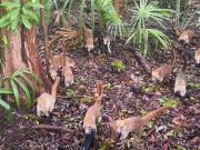 Top Playa del Carmen Top Playa del Carmen