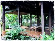 Top Mon Jam Top Mon Jam