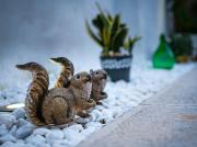 Top Specchia Gallone