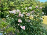 Top Dame-Marie-les-Bois