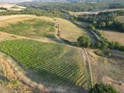 Top Monteroni dʼArbia