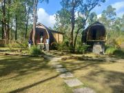 Bamboo Austin Mountbatur