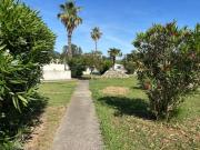 Top Prunelli-di-Fiumorbo