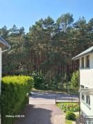 Top Palanga