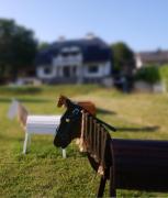 Top Janowiec Top Janowiec