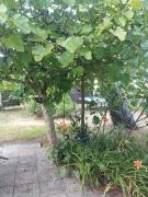 Top Saint-Brévin-lʼOcéan