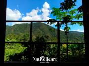 Native Heart Amazon Lodge