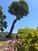 Top Bagnols-sur-Cèze