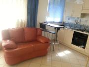 Modern studio with garden