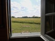 Top Woodbridge Top Woodbridge