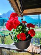 appartamento PANORAMA