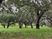 Top Évora Monte Top Évora Monte