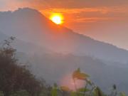 The Dees at sinharaja