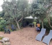 Top Figari