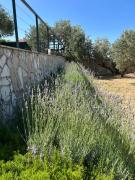 Villa in a quiet area - Private Pool - Sport - Starlink - BBQ