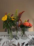 Top Passignano sul Trasimeno