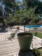 Top Villemoustaussou