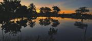 Top Iquitos