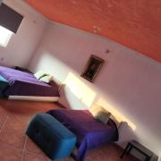 Top Cuernavaca Top Cuernavaca