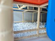 Top Dziwnów Top Dziwnów