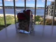 Seaview Haven ocean view apartment