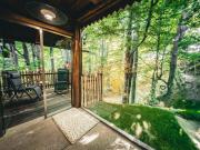 Top Şinteu Top Şinteu