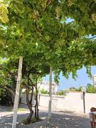 Top Belvedere Marittimo