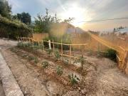 Top Agios Konstantinos Fthiotida