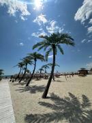 Top Mamaia Nord Top Mamaia Nord