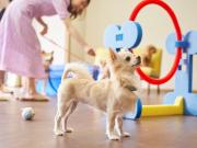 LiVEMAX RESORT Izukogen Annex