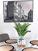 Apartament WHITE GLOVE deluxe nad Łyną - stare miasto Apartament WHITE GLOVE deluxe nad Łyną - stare miasto