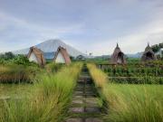 Top Karangasem