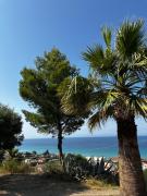 Top Polykhrono Top Polykhrono